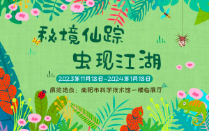南阳科技馆“秘境仙踪 虫现江湖”热带雨林VR全景上线啦!-云网页