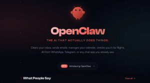 南阳企业快速拥有专属 Openclaw/Clawdbot ,提供部署安装教程全程指导远程部署-云网页